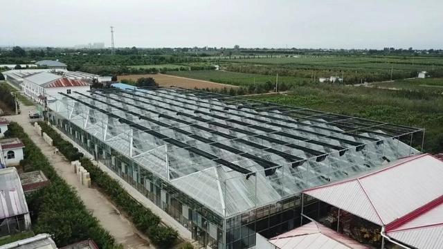 陜西種苗集團(tuán)成為全國(guó)最大國(guó)有種苗基地