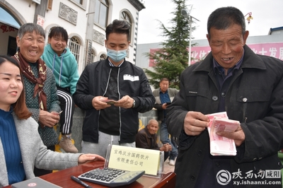 小連翹撬動大產業中藥材種植助力脫貧攻堅 --陜西中醫藥大學制藥廠赴旬邑收購連翹