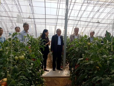 【園藝學(xué)院】2021年陜西省番茄育種聯(lián)合體新品種展示觀摩會在閻良舉辦