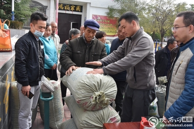 小連翹撬動(dòng)大產(chǎn)業(yè) 中藥材種植助力脫貧攻堅(jiān)——陜西中醫(yī)藥大學(xué)制藥廠赴旬邑收購連翹記